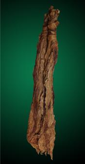 Fronto / Dark Air Cured 2012 (GR)